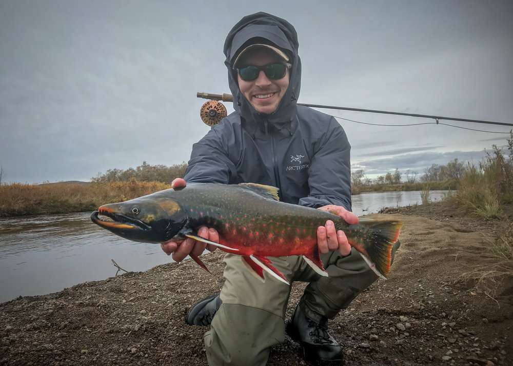 Arctic Char