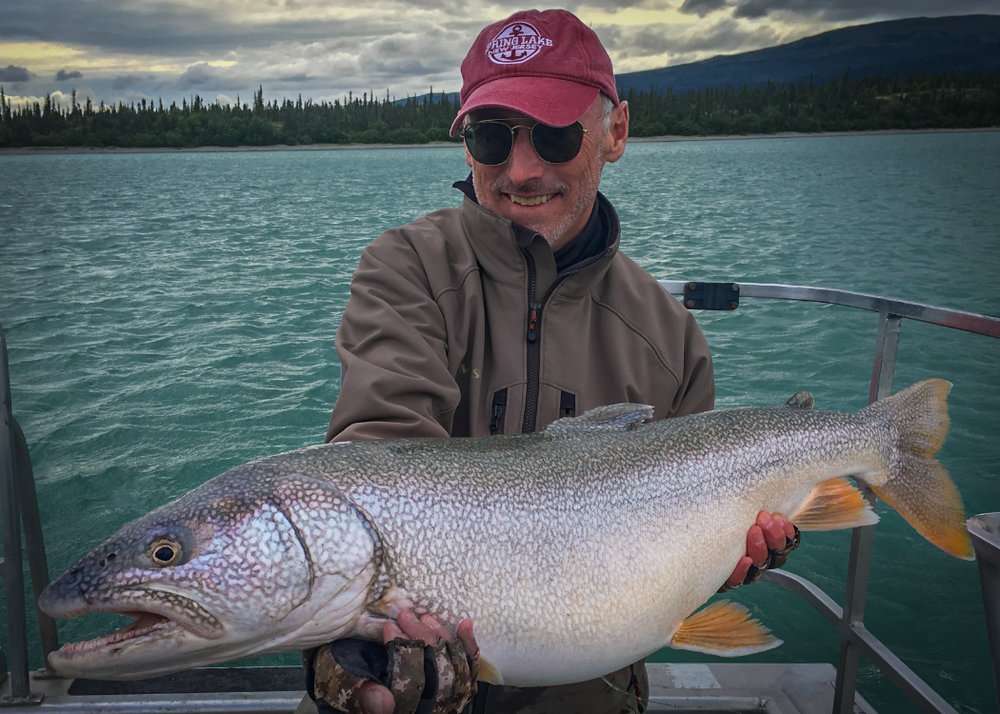 Lake Trout