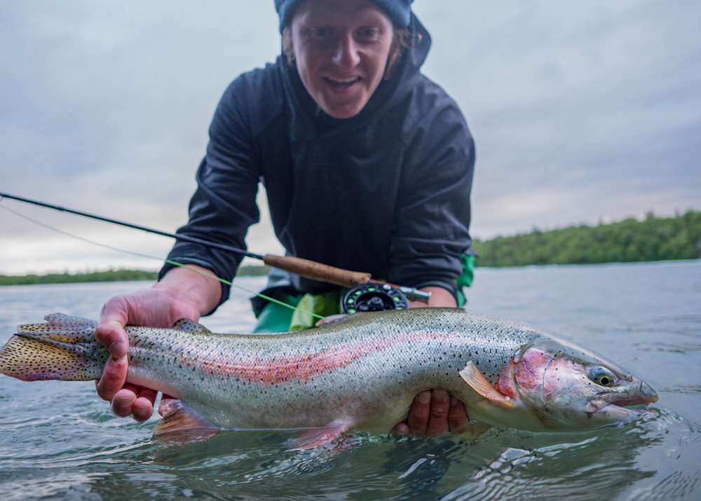 Rainbow trout